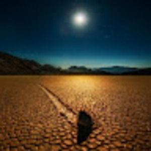 Meet your Posher, Elaine